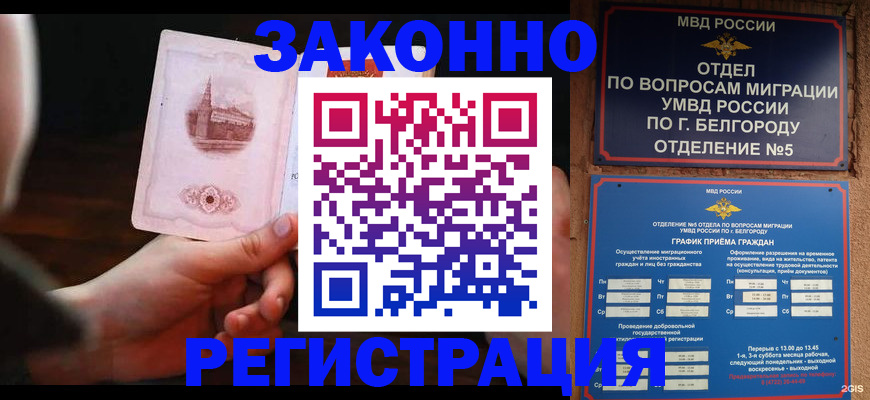 прописка 2025 в Покрове